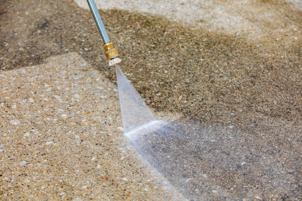 Animal Enclosure Cleaning in North Judson, IN
